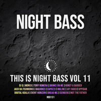 This is Night Bass: Vol. 11, 2020