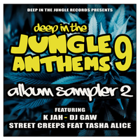 Deep In The Jungle Anthems 9 - LP Sampler 2