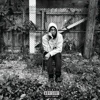 Intellect - anarchist