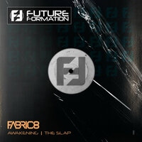 Awakening / The Slap