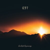 C37 - The Fight Within