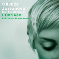 I Can See, 2013