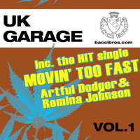 Romina Johnson - My Forbidden Lover
