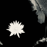 Наоборот - Miyagi & Эндшпиль