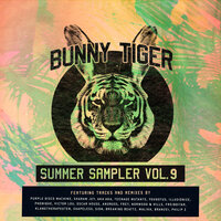 Summer Sampler, Vol. 09, 2019