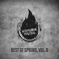 Best of Spring, Vol. 6