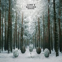Lane 8 - Survive feat. Channy Leaneagh