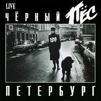 Чёрный пёс Петербург, vol. 2