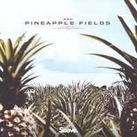 Pineapple Fields