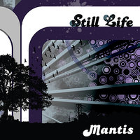 Mantis - You Don't Know