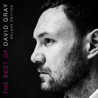 The Best of David Gray, 2016