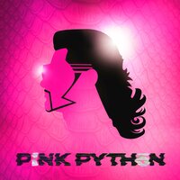 PiNK PYTHON, 2019