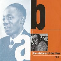 Muddy Waters - Last Time I Fool Around with You