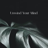 Unwind Your Mind