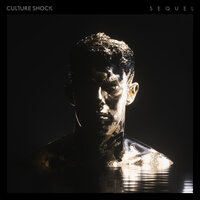 Culture Shock - Visions