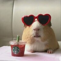 ge - ge - ge - ge - genius