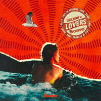 Unknown Lovers - Lost in Reverie & MBB & Danel & KALEY