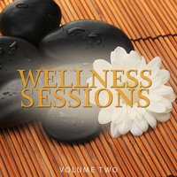 Wellness Sessions, Vol. 2