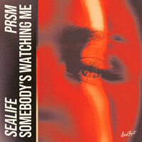 Sealife & PRSM - Somebody's Watching Me