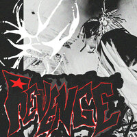 REVENGE