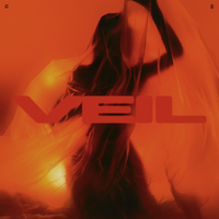 Veil