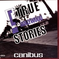 "c" True Hollywood Stories, 2005