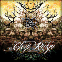 Audio Dank - Seasons