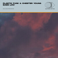 Plastik Funk & Chester Young - Bass Low