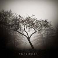 Dreamstone (feat. Coma)