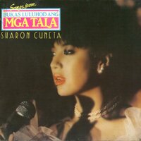 Sharon Cuneta - I'm Never Gonna Give You Up