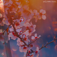 Spring Chillout Session