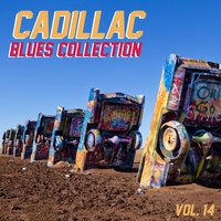 The New Blues Revival - Virginia Highland Walk