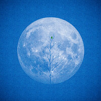 Она не виновата - A'Studio