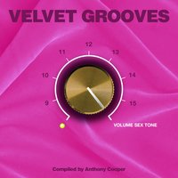 Velvet Grooves 16 Volume Sextone, 2017