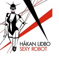 Sexy Robot, 2002