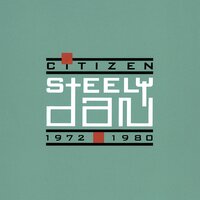 Citizen 1972-1980, 1993