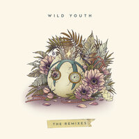 Wild Youth