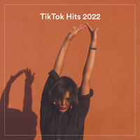 Tik Tock Hits 2022