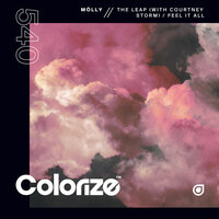 Molly - Feel It All