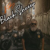 Black Sheep