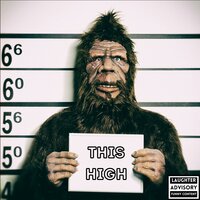 Mister Nanigans - This High