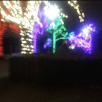 Lo.St - i wrote your name in the snow