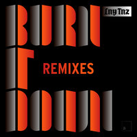 Lny Tnz - Burn It Down