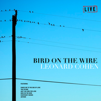 Bird On The Wire