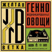 Генномодифицированные овощи