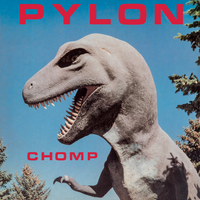 Pylon - Beep