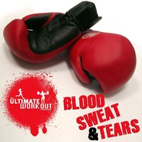 The Ultimate Workout Collection: Blood Sweat And Tears, 2010