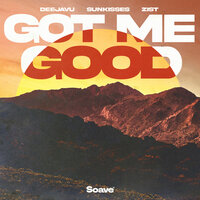 DeejaVu & Sunkisses & Zist - Got Me Good