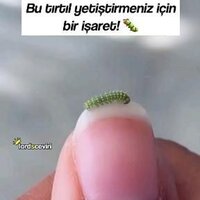 Underneath Your Clothes