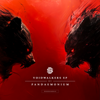 Voidwalkers EP